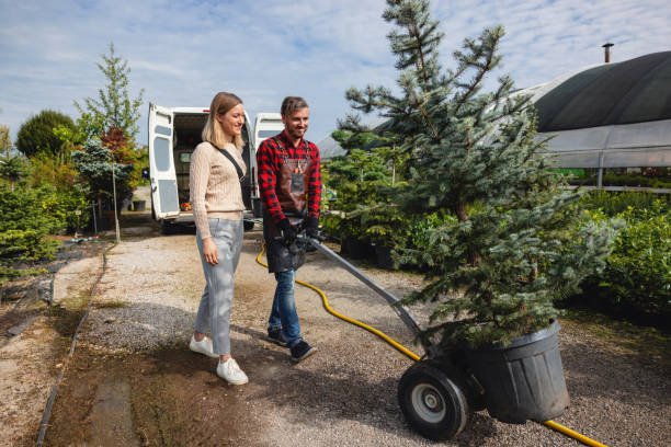 Best Dead Tree Removal  in Fern Prairie, WA